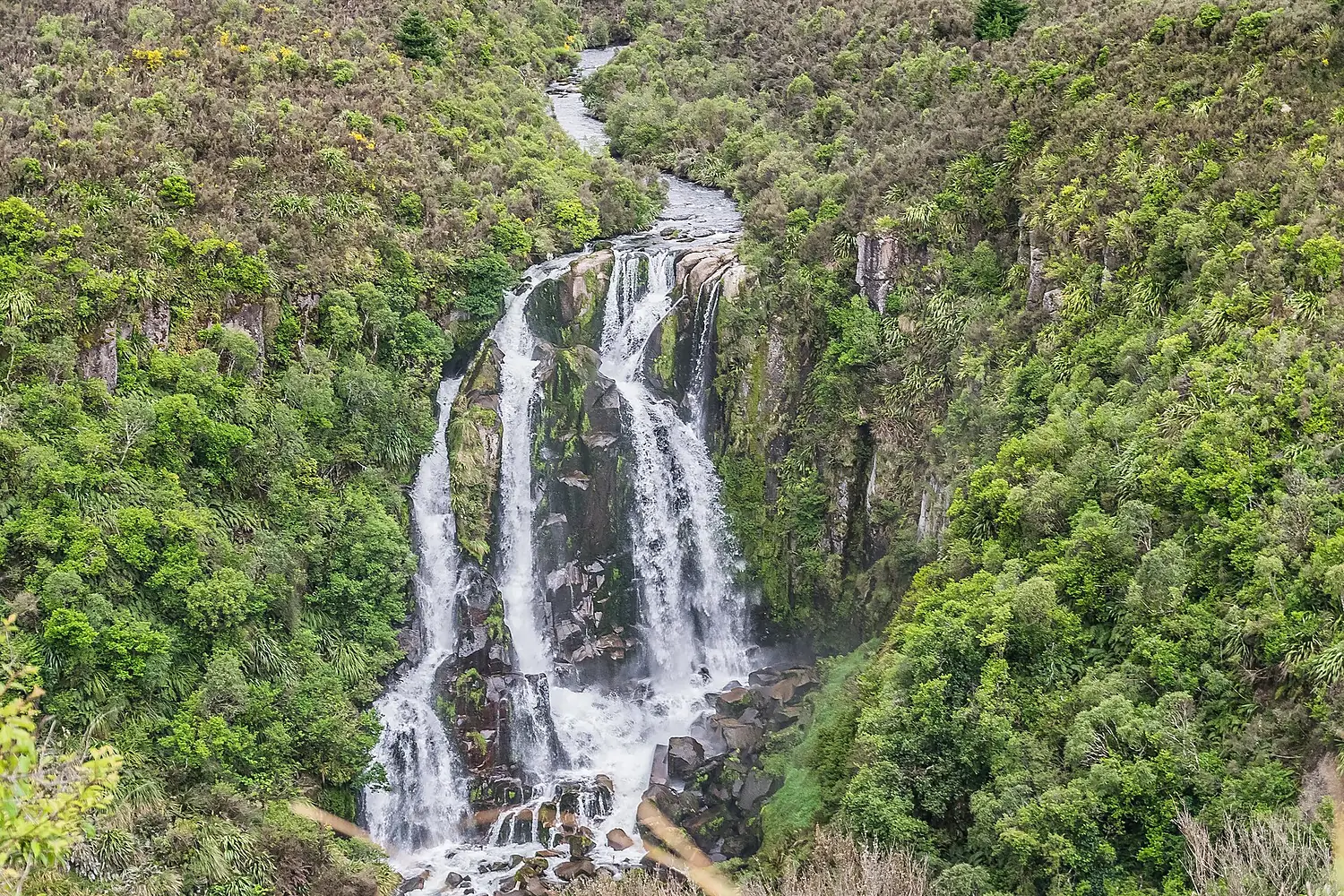 Waipunga Falls 01