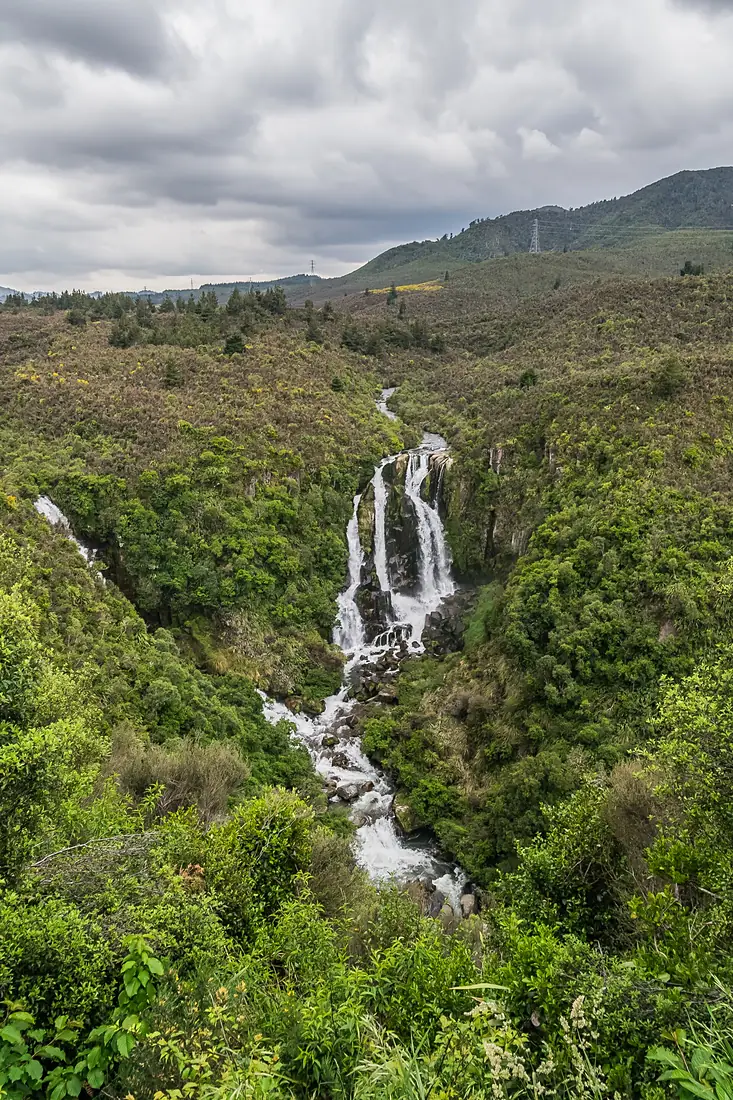 Waipunga Falls 02