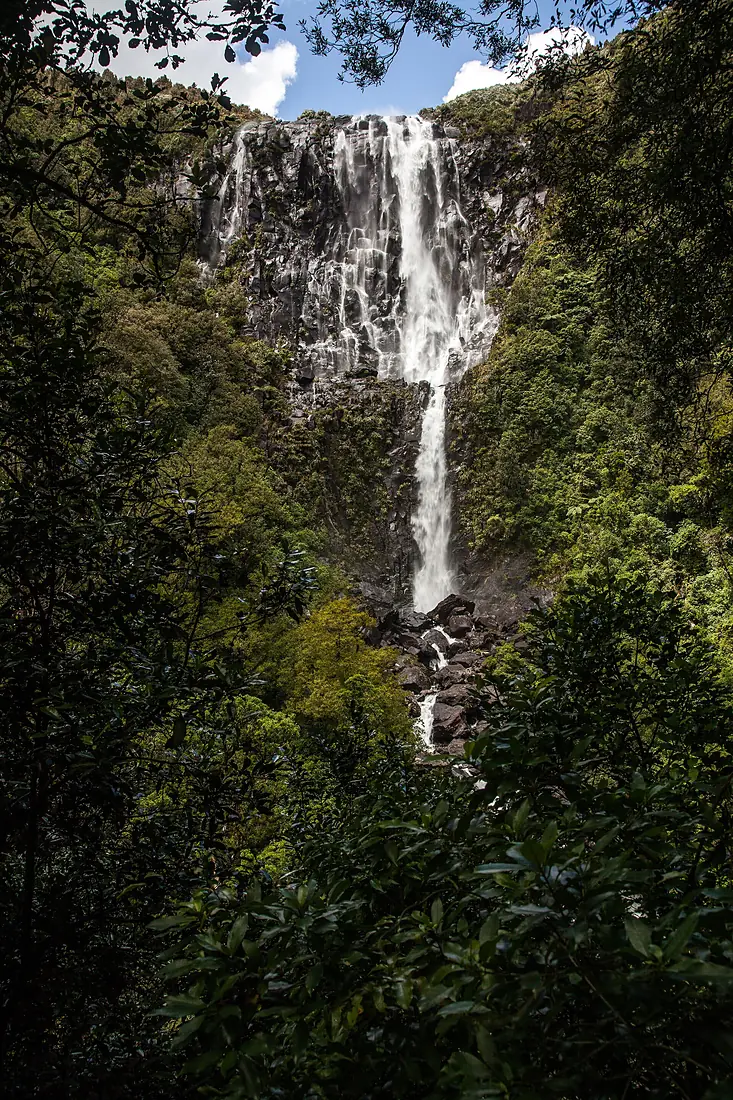 Wairere Falls2