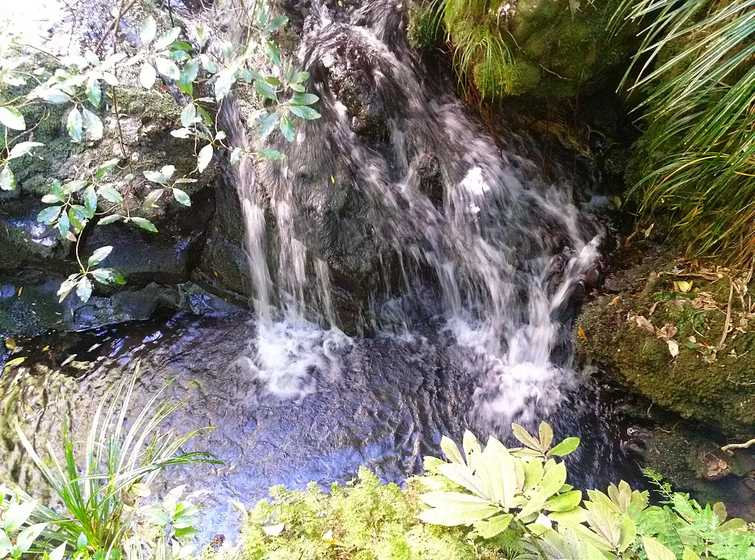 Waitakere, Auckland, New Zealand - panoramio (3)