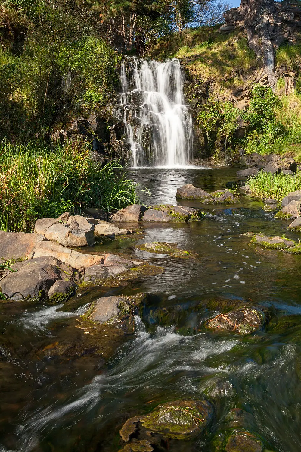 Waitangi Falls, Glenbrook 001