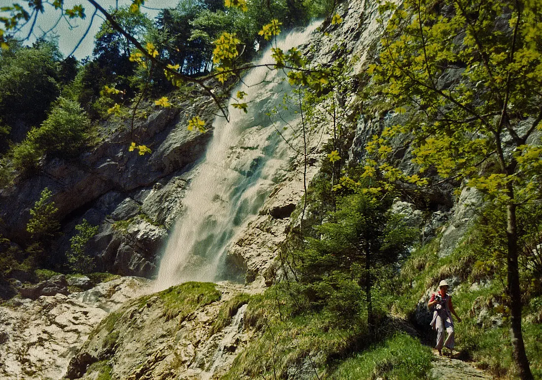 Echerntal - Waldbach - panoramio (1)