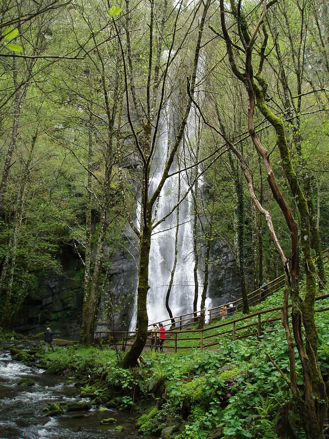 Seimeira de Vilagocende