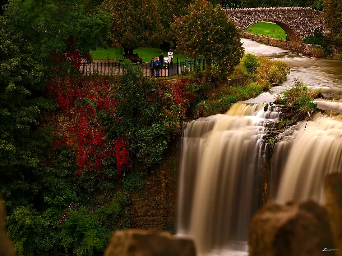 In the fall (10375867015)
