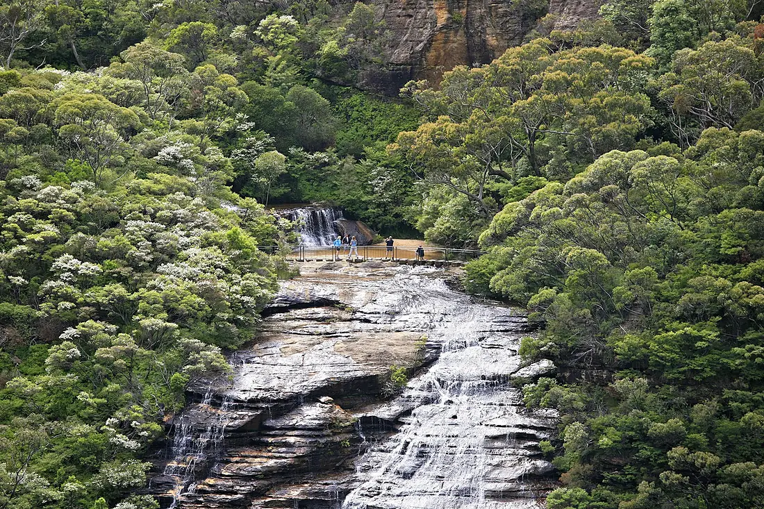 Blue Mountains - Wentworth Falls (6596121439)