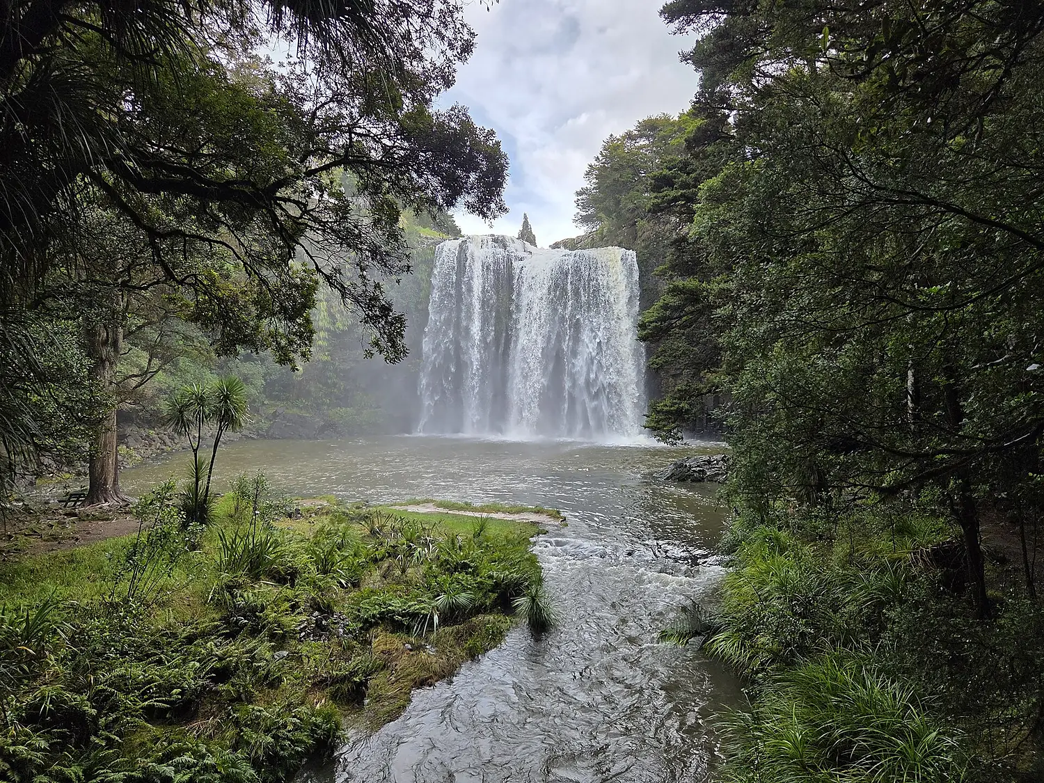 Whangārei Falls