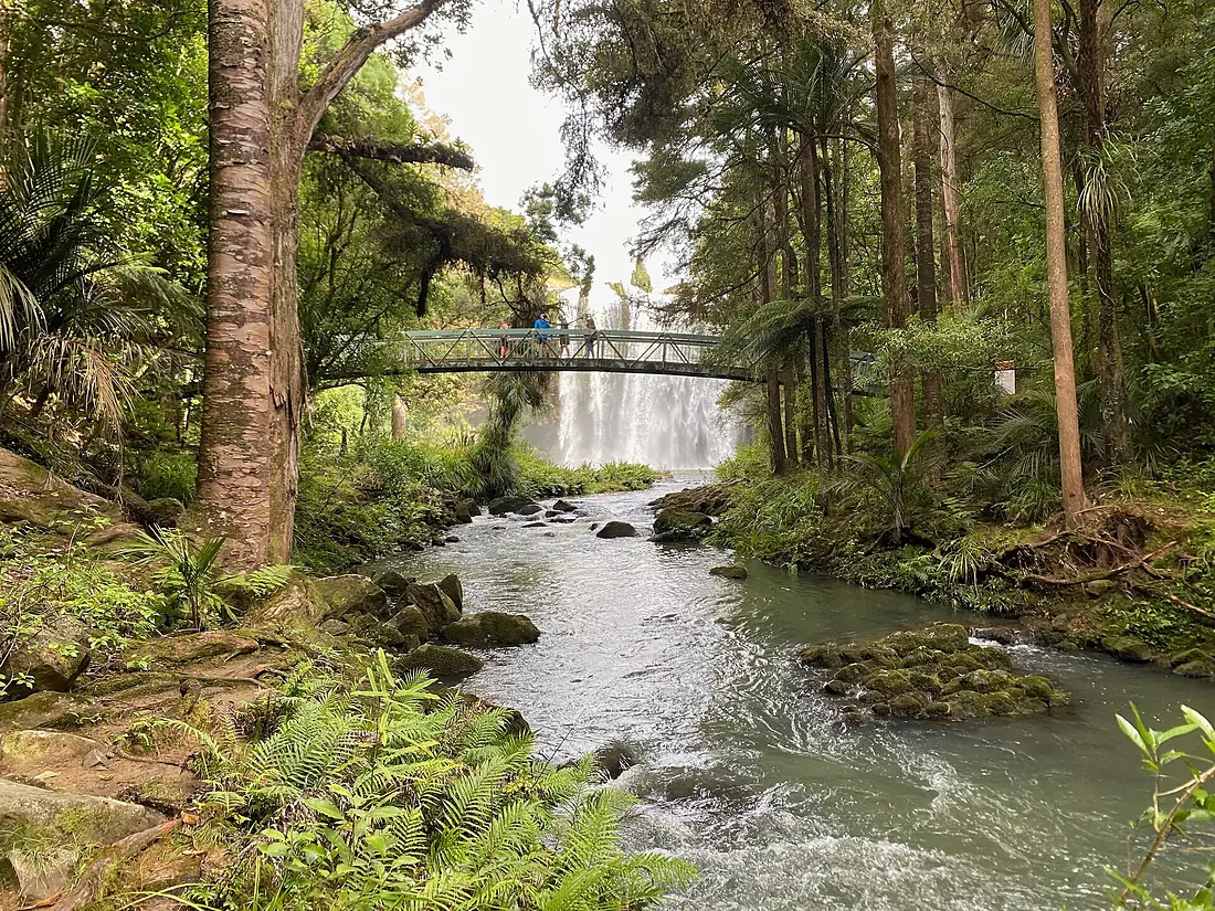 Hatea and falls and bridge