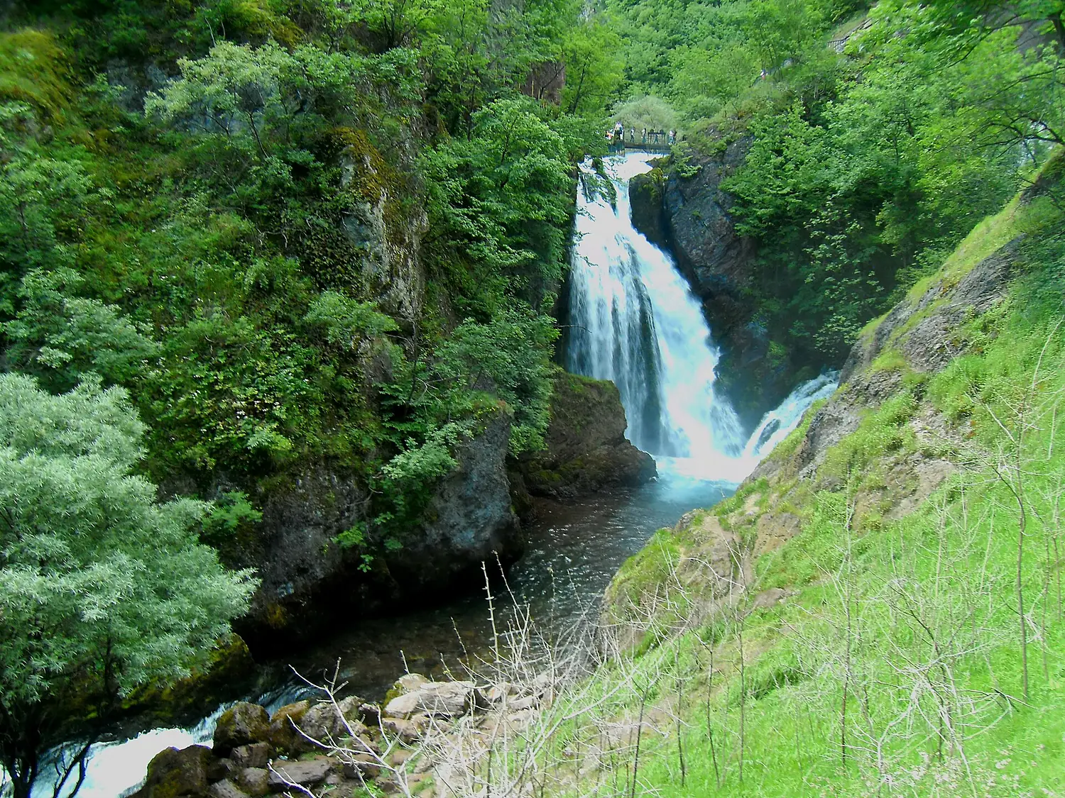 Burimi i Drinit të Bardhë, Pejë