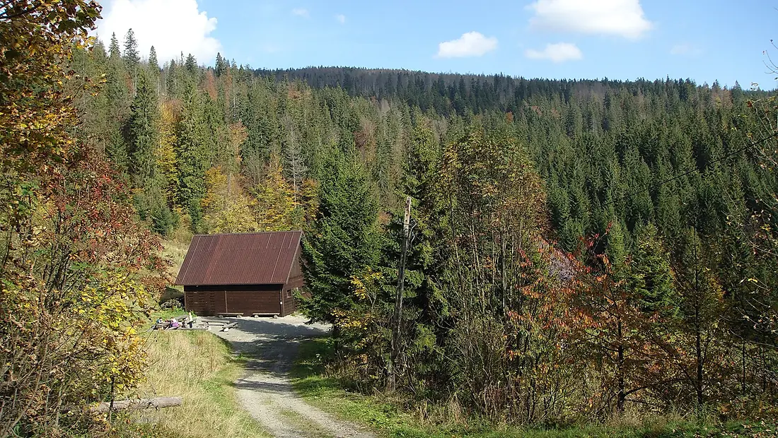 Leśnictwo Przysłup. Nadleśnictwo Wisła - panoramio
