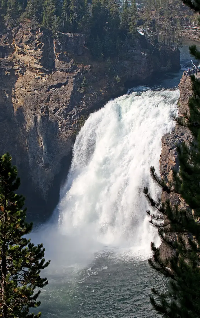 Grand Canyon of the Yellowstone Upper Falls 2 (8066774287)