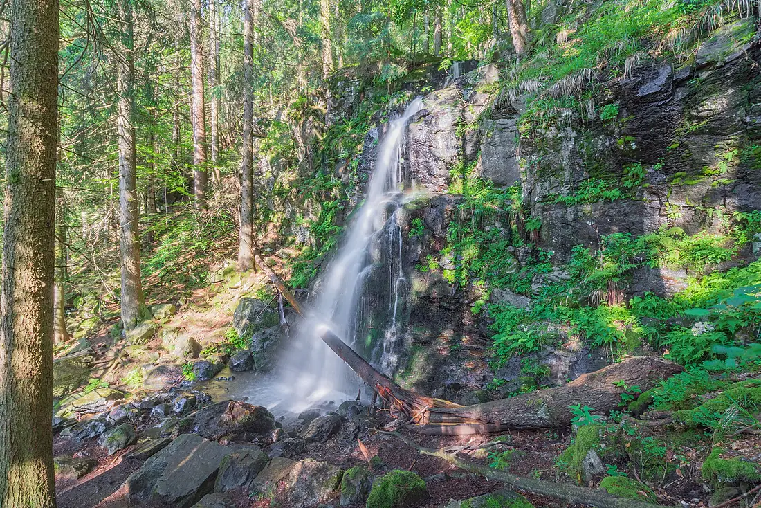 Sankt Peter (Hochschwarzwald) Zweribach Wasserfall Bild 1