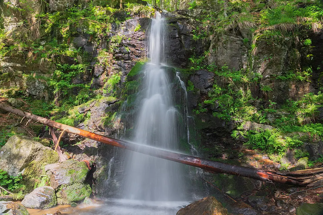 Sankt Peter (Hochschwarzwald) Zweribach Wasserfall Bild 2